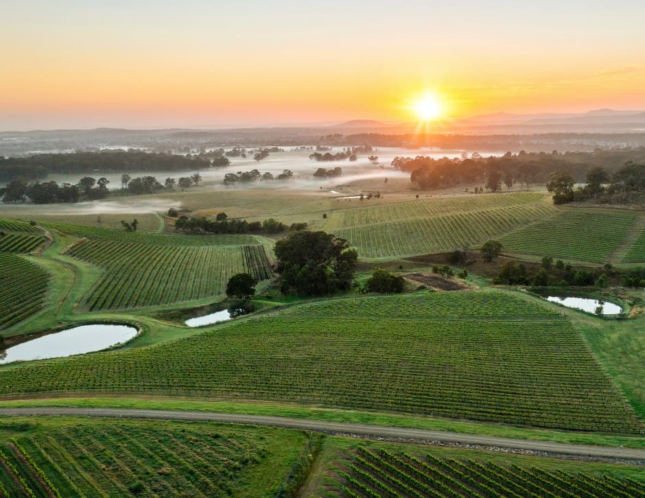 a view of the hunter region vineyards outside Newcastle, Australia