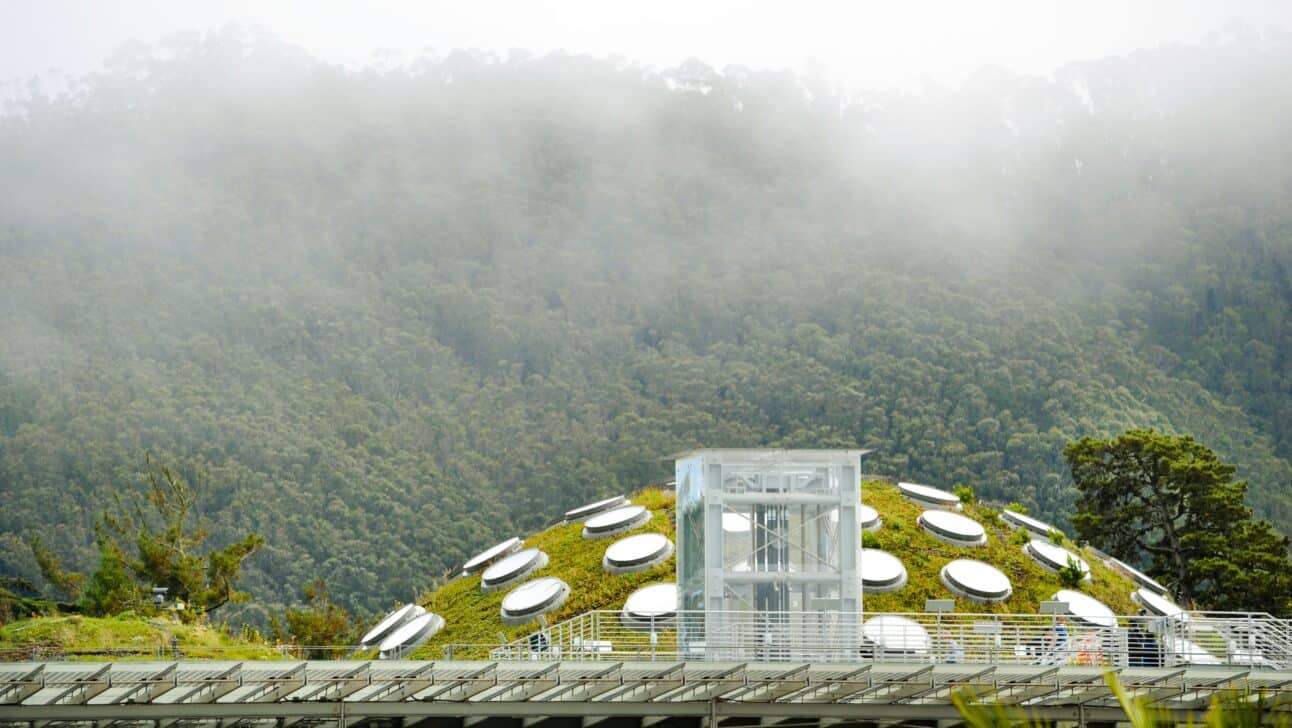 The lookout spot from the California Academy of the Sciences in Golden Gate Park, San Francisco, California