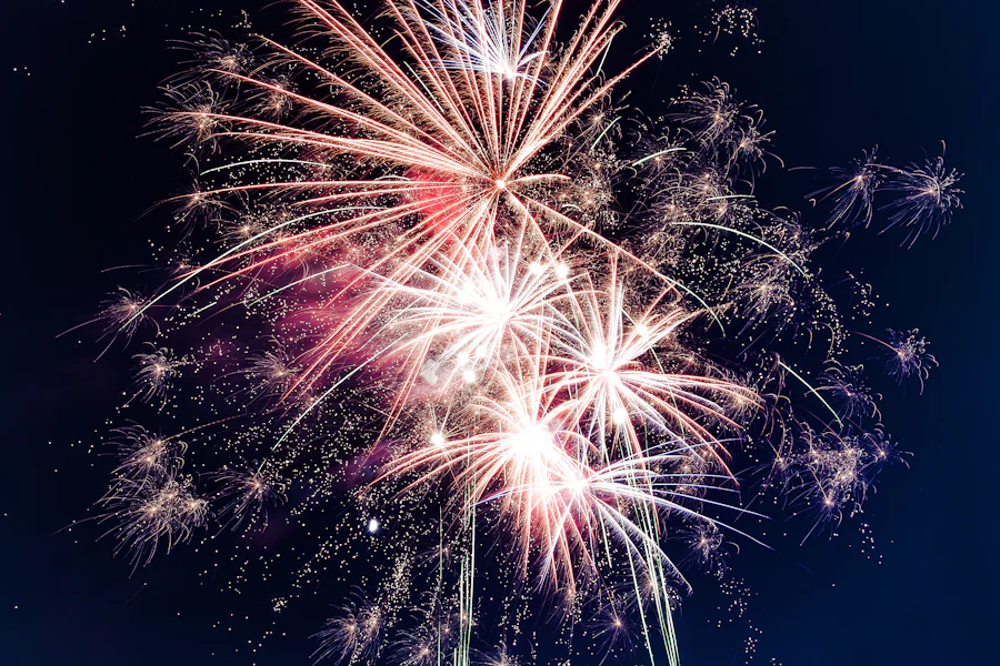 Paris fireworks